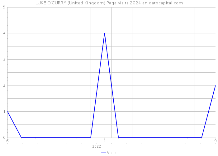 LUKE O'CURRY (United Kingdom) Page visits 2024 