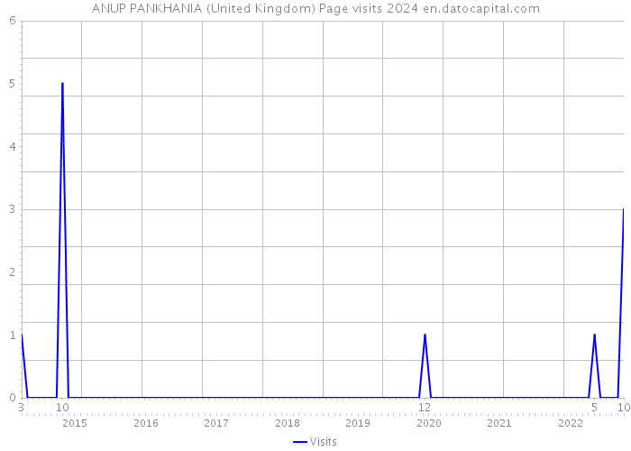 ANUP PANKHANIA (United Kingdom) Page visits 2024 