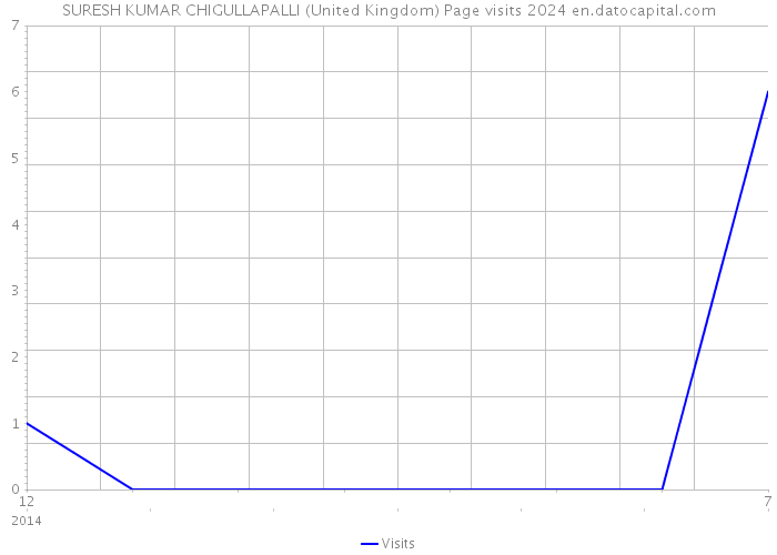 SURESH KUMAR CHIGULLAPALLI (United Kingdom) Page visits 2024 