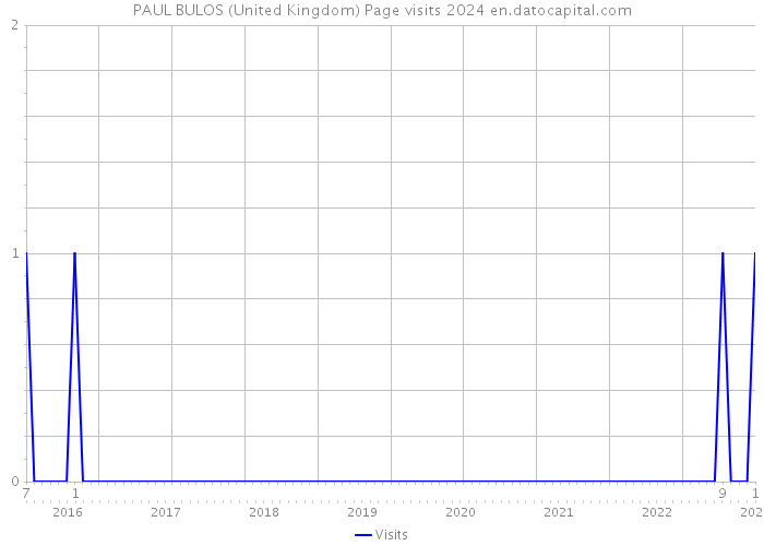 PAUL BULOS (United Kingdom) Page visits 2024 
