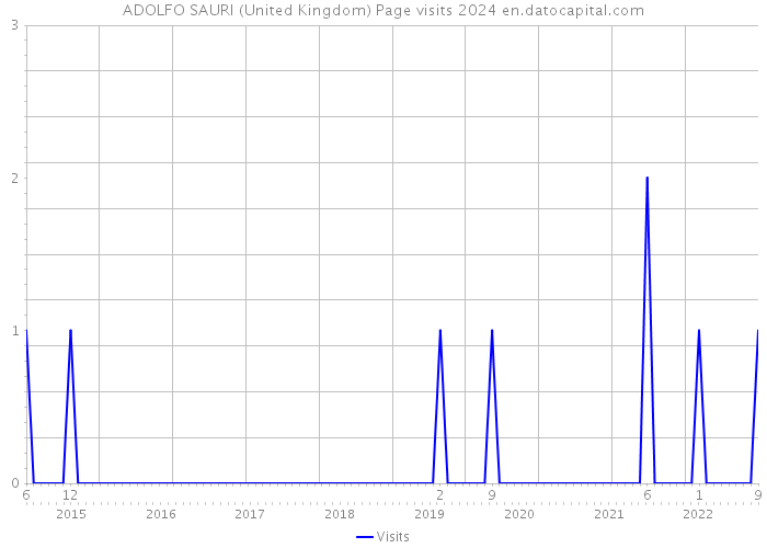 ADOLFO SAURI (United Kingdom) Page visits 2024 
