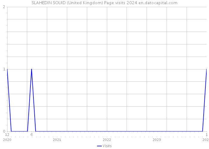 SLAHEDIN SOUID (United Kingdom) Page visits 2024 