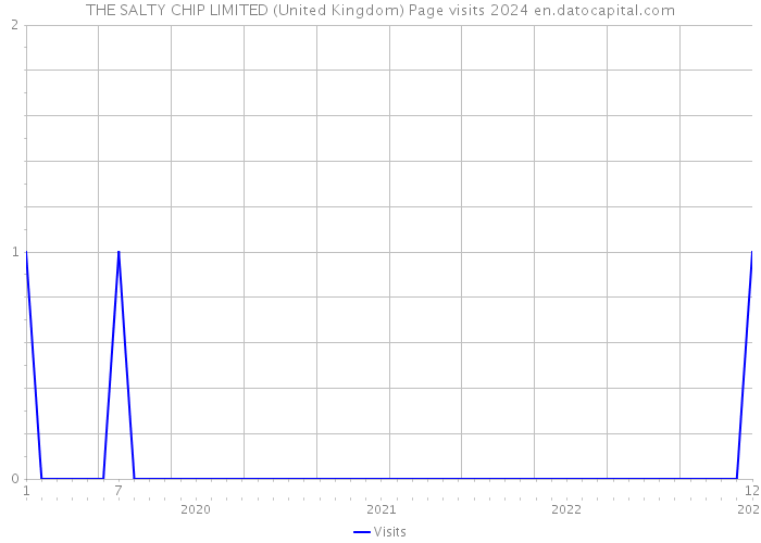 THE SALTY CHIP LIMITED (United Kingdom) Page visits 2024 