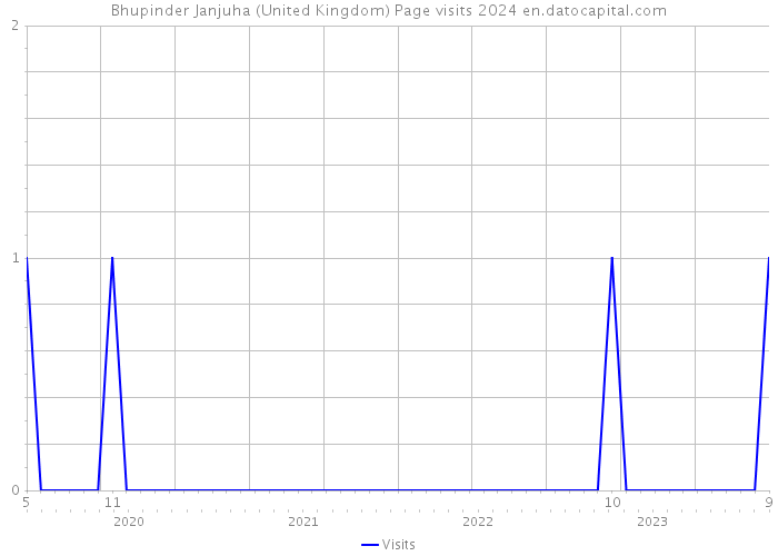 Bhupinder Janjuha (United Kingdom) Page visits 2024 