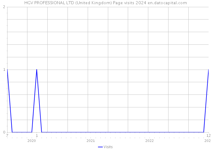 HGV PROFESSIONAL LTD (United Kingdom) Page visits 2024 