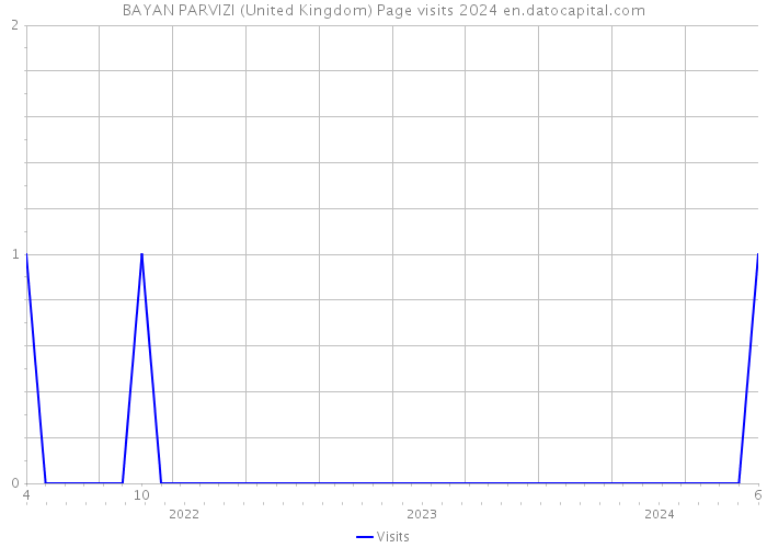 BAYAN PARVIZI (United Kingdom) Page visits 2024 