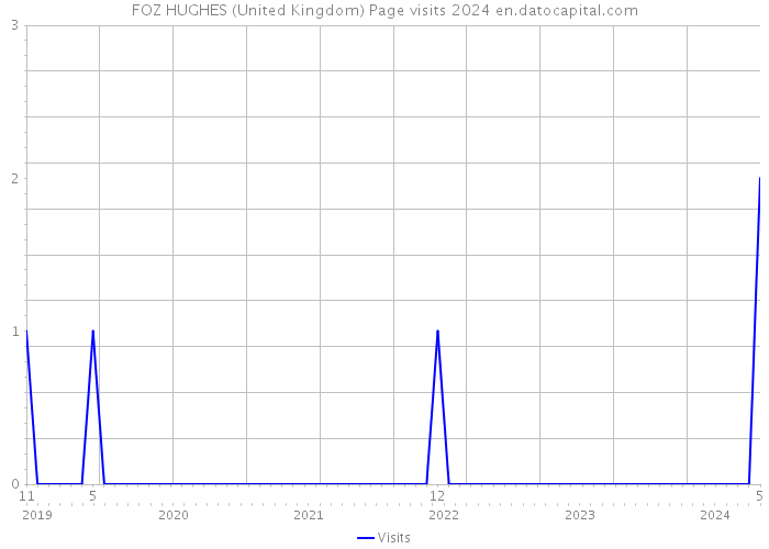 FOZ HUGHES (United Kingdom) Page visits 2024 