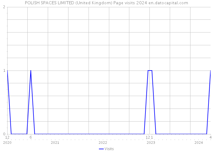 POLISH SPACES LIMITED (United Kingdom) Page visits 2024 