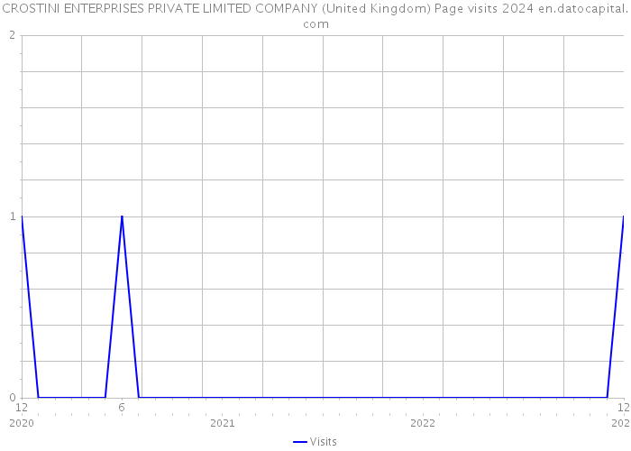 CROSTINI ENTERPRISES PRIVATE LIMITED COMPANY (United Kingdom) Page visits 2024 