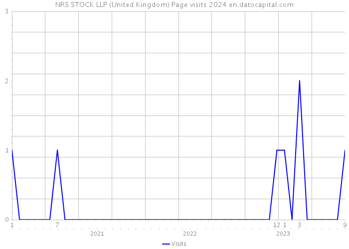 NRS STOCK LLP (United Kingdom) Page visits 2024 