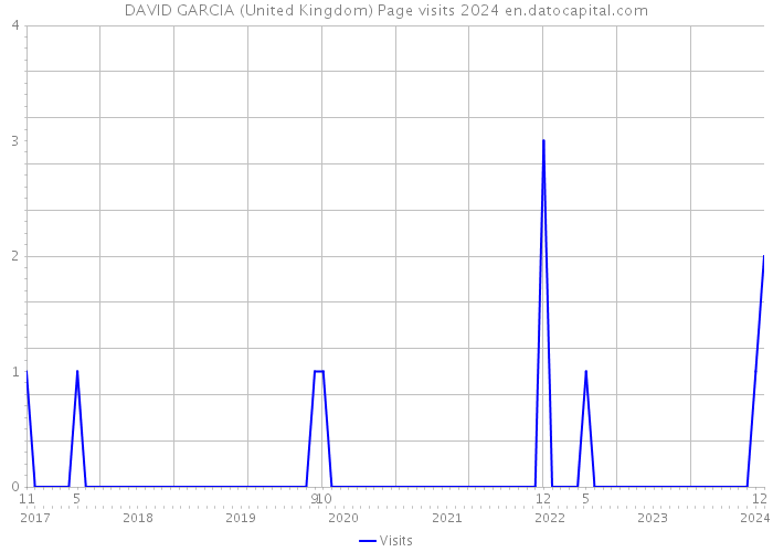 DAVID GARCIA (United Kingdom) Page visits 2024 