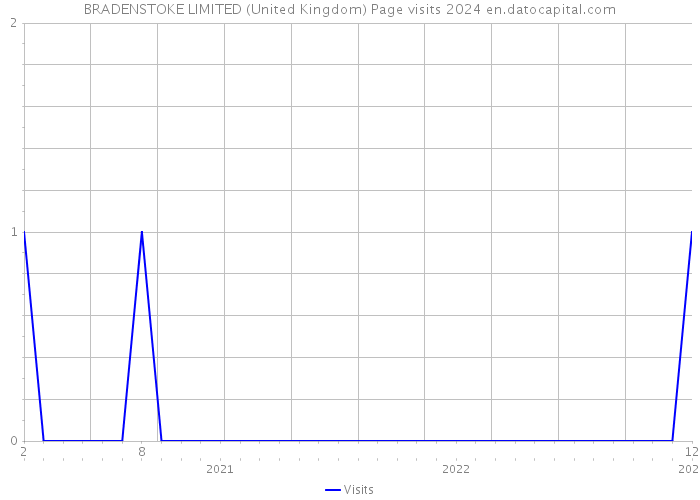 BRADENSTOKE LIMITED (United Kingdom) Page visits 2024 