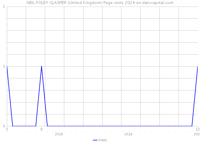 NEIL FOLEY GLASPER (United Kingdom) Page visits 2024 