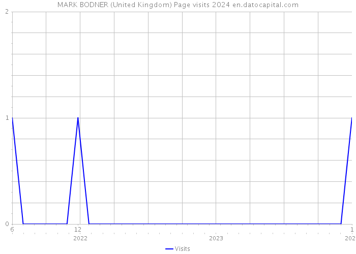 MARK BODNER (United Kingdom) Page visits 2024 