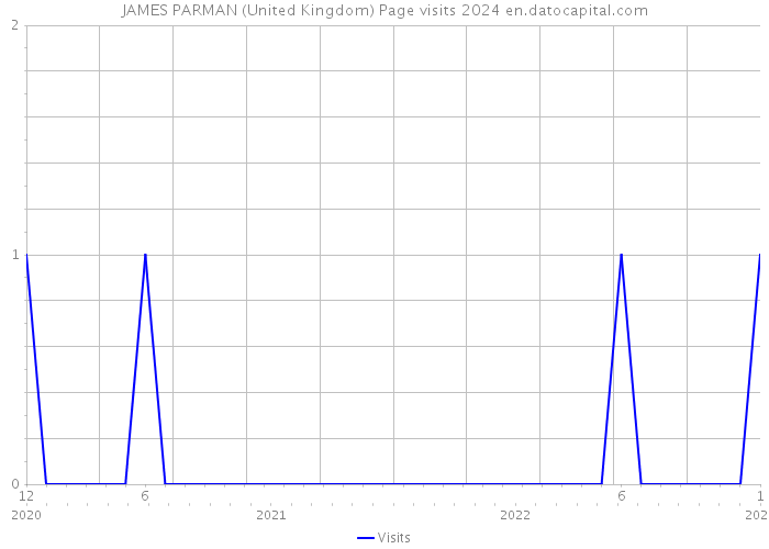 JAMES PARMAN (United Kingdom) Page visits 2024 