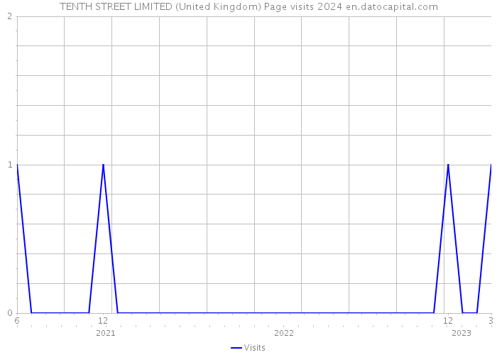 TENTH STREET LIMITED (United Kingdom) Page visits 2024 