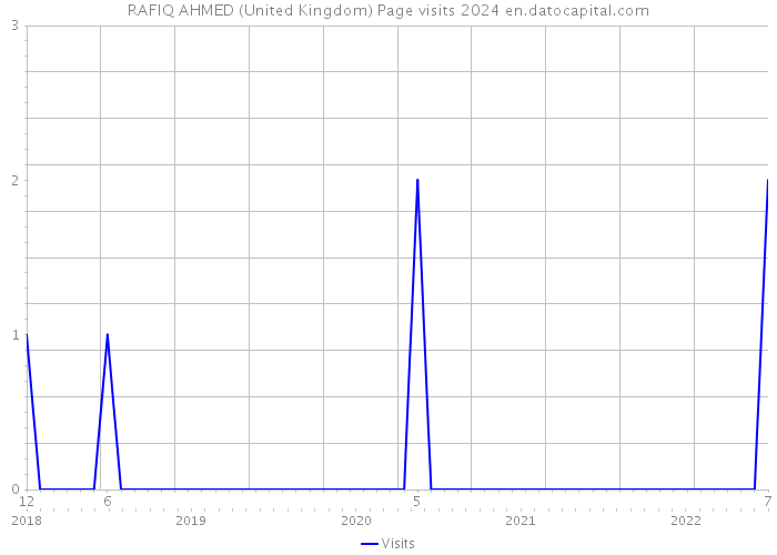 RAFIQ AHMED (United Kingdom) Page visits 2024 