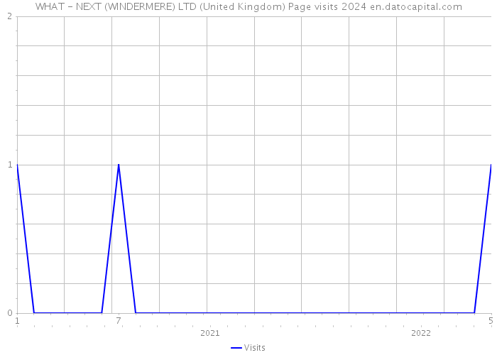 WHAT - NEXT (WINDERMERE) LTD (United Kingdom) Page visits 2024 
