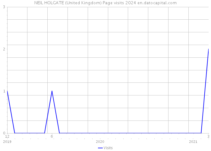 NEIL HOLGATE (United Kingdom) Page visits 2024 
