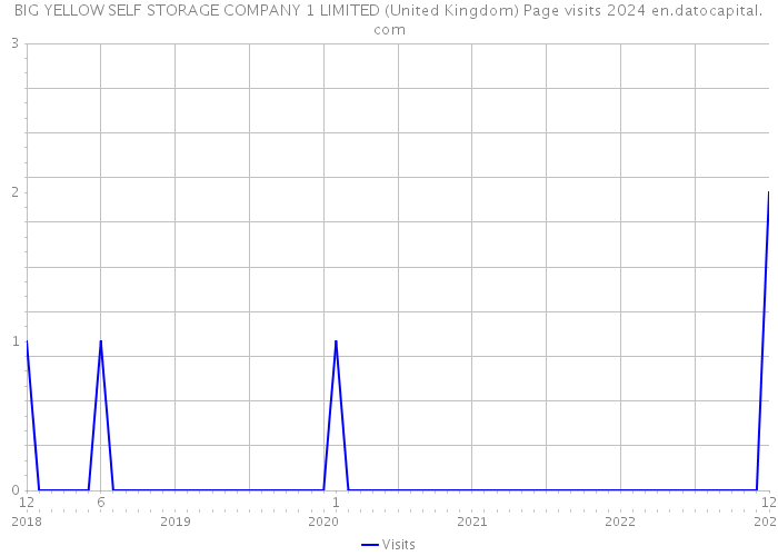 BIG YELLOW SELF STORAGE COMPANY 1 LIMITED (United Kingdom) Page visits 2024 