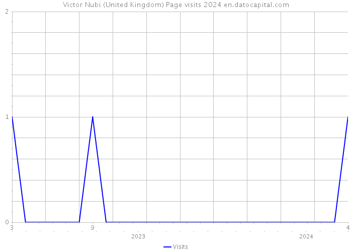 Victor Nubi (United Kingdom) Page visits 2024 