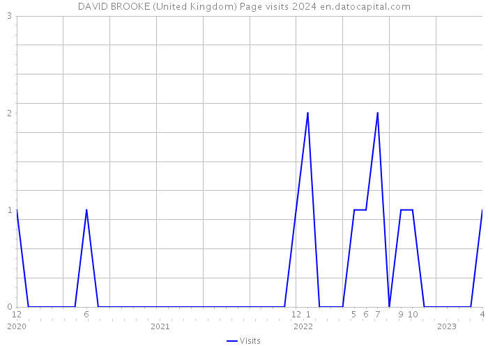 DAVID BROOKE (United Kingdom) Page visits 2024 