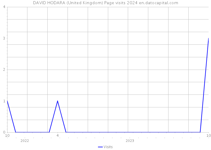 DAVID HODARA (United Kingdom) Page visits 2024 