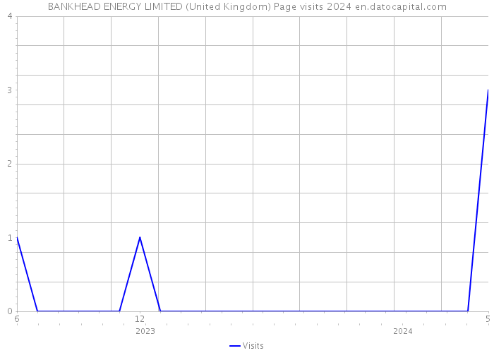 BANKHEAD ENERGY LIMITED (United Kingdom) Page visits 2024 