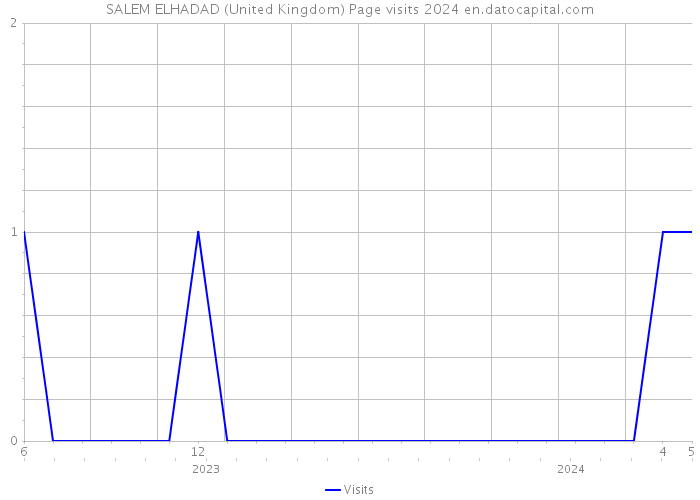 SALEM ELHADAD (United Kingdom) Page visits 2024 