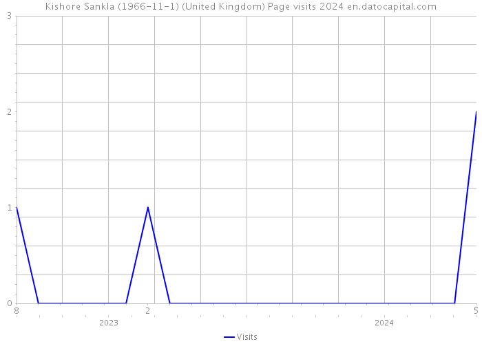 Kishore Sankla (1966-11-1) (United Kingdom) Page visits 2024 