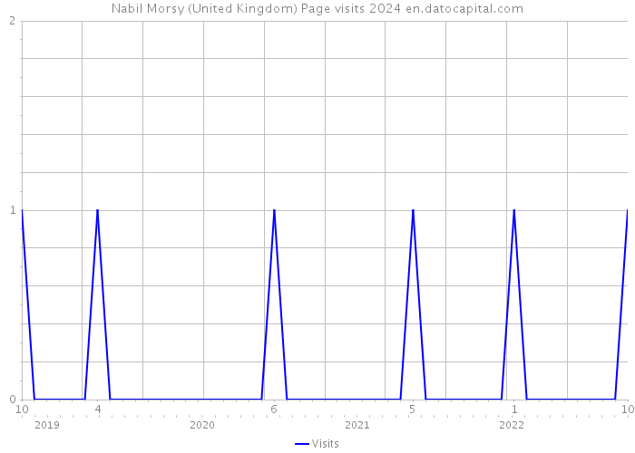 Nabil Morsy (United Kingdom) Page visits 2024 
