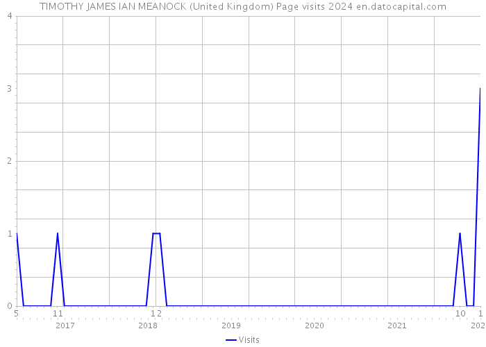 TIMOTHY JAMES IAN MEANOCK (United Kingdom) Page visits 2024 