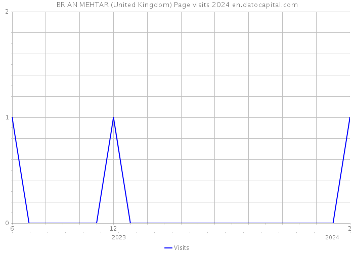 BRIAN MEHTAR (United Kingdom) Page visits 2024 