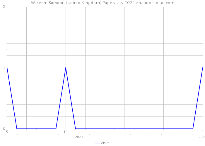 Waseem Samann (United Kingdom) Page visits 2024 