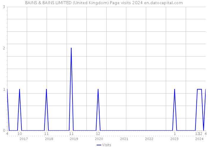 BAINS & BAINS LIMITED (United Kingdom) Page visits 2024 