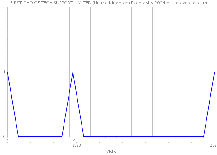 FIRST CHOICE TECH SUPPORT LIMITED (United Kingdom) Page visits 2024 