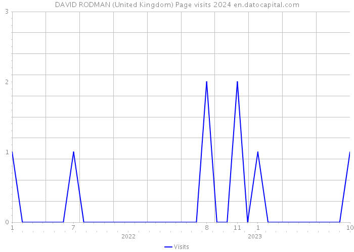 DAVID RODMAN (United Kingdom) Page visits 2024 