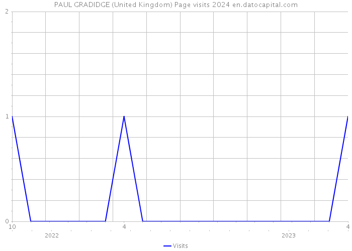 PAUL GRADIDGE (United Kingdom) Page visits 2024 