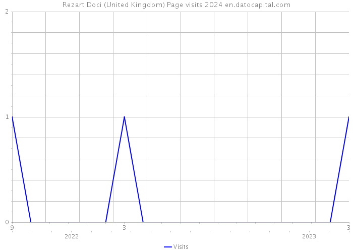 Rezart Doci (United Kingdom) Page visits 2024 