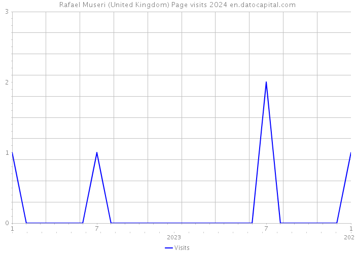 Rafael Museri (United Kingdom) Page visits 2024 