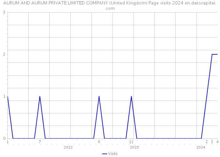 AURUM AND AURUM PRIVATE LIMITED COMPANY (United Kingdom) Page visits 2024 