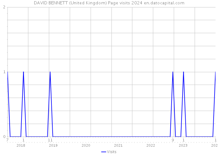 DAVID BENNETT (United Kingdom) Page visits 2024 