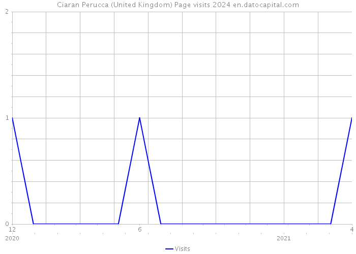 Ciaran Perucca (United Kingdom) Page visits 2024 