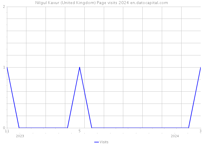 Nilgul Kavur (United Kingdom) Page visits 2024 