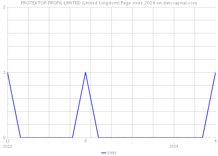 PROTEKTOR PROFIL LIMITED (United Kingdom) Page visits 2024 