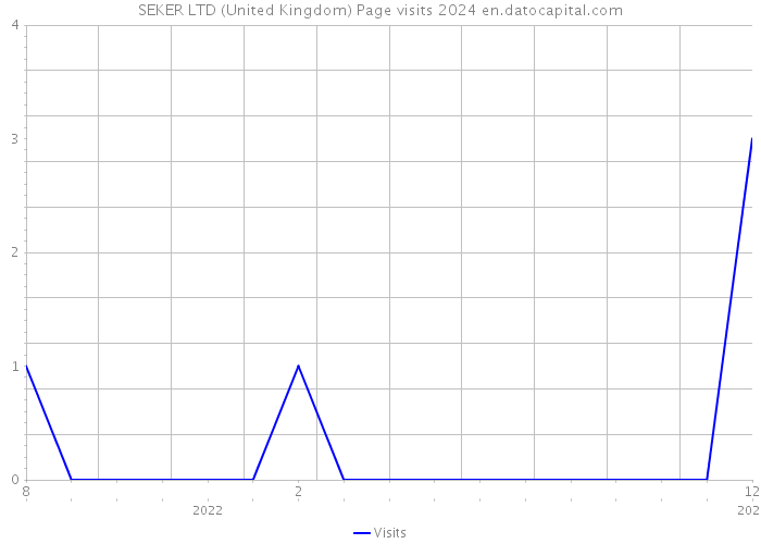SEKER LTD (United Kingdom) Page visits 2024 
