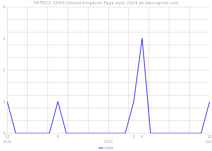 PATRICK GNOS (United Kingdom) Page visits 2024 