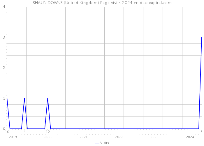 SHAUN DOWNS (United Kingdom) Page visits 2024 