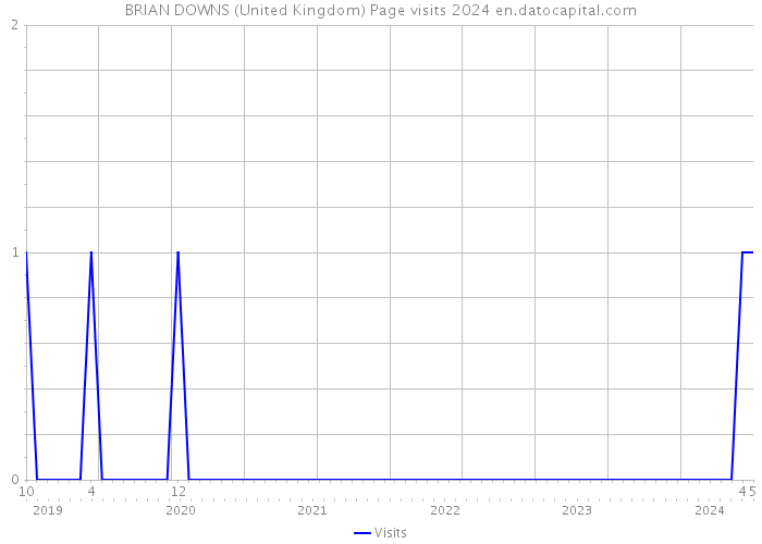 BRIAN DOWNS (United Kingdom) Page visits 2024 