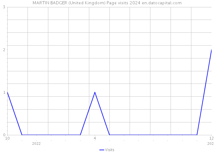 MARTIN BADGER (United Kingdom) Page visits 2024 